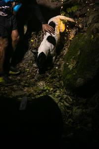 BIB: 
                            <button type="button" onclick="openModal(13604901)" class="btn btn-primary btn-sm float-right btn-popup" data-toggle="modal" data-target=".modal-high-quality">
                        <i class="fas fa-shopping-cart"></i> Add to Cart
                    </button>
                                            <button type="button" onclick="isThisMe(13604901, true)" class="btn btn-success btn-sm float-right btn-popup btn-isme hidden" data-toggle="tooltip" data-placement="bottom" title="นี่คือรูปของคุณใช่ไหม คลิกที่นี่เพื่อเอาเข้าอัลบั้ม">
                        <i class="fas fa-plus"></i> Add to album
                    </button>
                    <button type="button" onclick="isThisMe(13604901, false)" class="btn btn-warning btn-sm float-right btn-popup btn-isnotme hidden">
                        <i class="fas fa-ban"></i> Remove from album
                    </button>